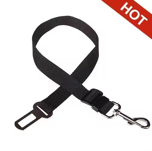 Pack Up Pup Seat Belt Leash